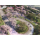 Xbox Forza Horizon 6 - 1486982 - zdjęcie 4